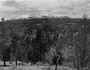 Image description is not available for 2007.017